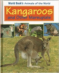 Image of Kangaroos and Other Marsupials