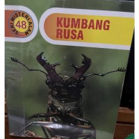 Image of Kumbang Rusa