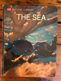 Image of Life Nature Library: The Sea