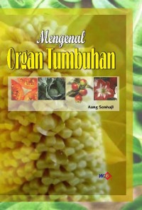 Image of Mengenal Organ Tumbuhan