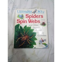 Image of Spiders Spin Webs