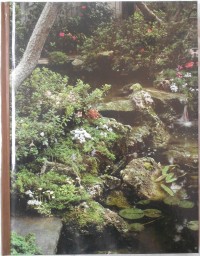 Image of The Time-Life Encyclopedia of Gardening: Rock and Water Gardens